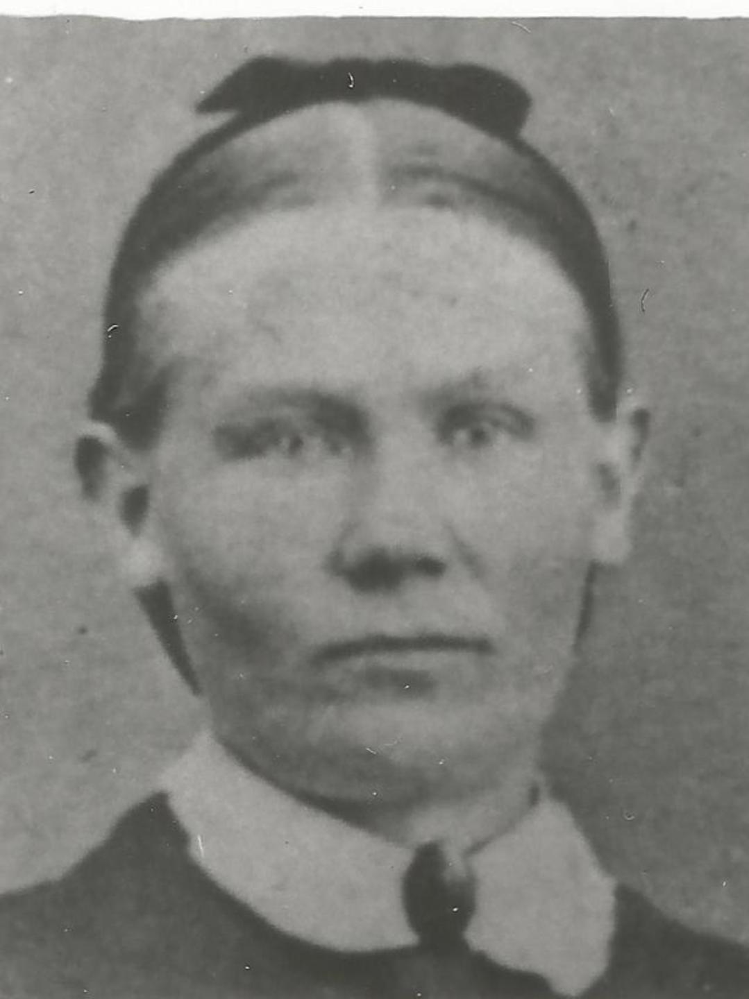 Augusta Pehrsson (1846 - 1882) Profile
